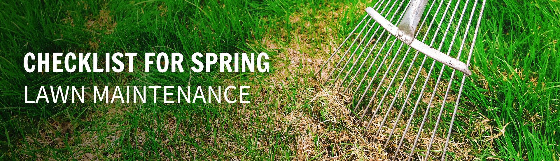 Checklist for spring lawn maintenance hero image